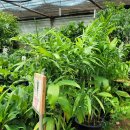 산림조합화장실 이미지