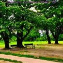 왕궁유적전시관 이미지