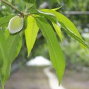 남원농장 이미지