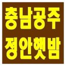 늘밤농원 이미지
