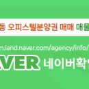 성공공인중개사사무소 이미지