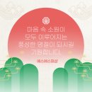 에스에스피 이미지