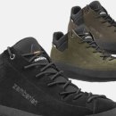 댕댕이숲 이미지