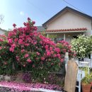 유금3리 이미지