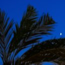 새벽경주 풀빌라펜션 이미지