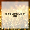 서초 바른빛안과의원 네이버블로그