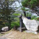 진산자연휴양림 이미지