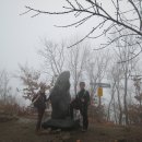 엘림랜드(주) 이미지