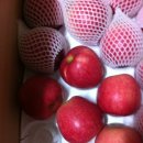 능금농장 이미지