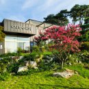 복이카페 이미지