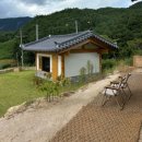 소나모나 이미지