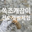 내집에쏙 | 남해 바지락 쏙 조개 잡이 전도갯벌체험장 요금 준비물 후기