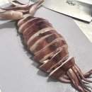 천하왕족발 | 2025년 5월 / 집에서 보낸 연휴 맛있는 거 많이 먹고 살찐 일상