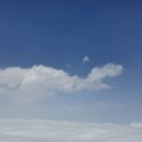 박종애농장 이미지