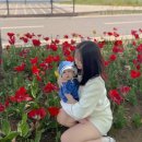 나들목주유소 공중화장실 | 응봉역 튤립 용비쉼터 개화현황 주말 주차 후기