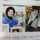 플로리플라워