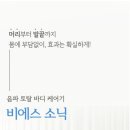 소닉렌탈