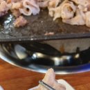 33한돼지 이미지