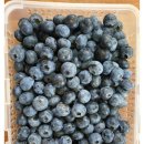 용신농장 이미지