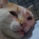 롤스터PC방 | 전부 제정신이 아니야