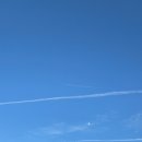 펜션 포레스트 이미지