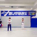 별나무태권도 이미지