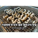 장어의 꿈 이미지