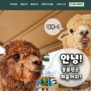 주토피움