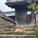 신안약수(아) 경로당 | 전남해남 절 | 세계문화유산 절 | 해남대흥사