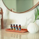 슈가브리움2 이미지