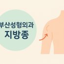 미테크성형외과의원 이미지