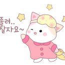 렉돌 냥이 이미지