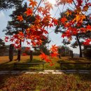 참전비근린공원 이미지