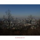 효자 동물병원 이미지