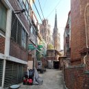 스노우즈 이미지