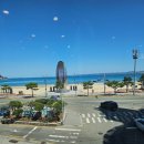 무의지소 공영주차장(추가) | 새콤달콤 시원한 물회의 맛 포항 영일대 물회 포항영일대바다장어