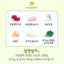 이지더원1차A 경로당 | [광주 맘앤맘마 광산점] 광주 이유식 배달, 맘앤맘마 광주광산점 중기 이유식 후기