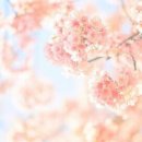 흥덕4단지 이미지