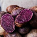 에스바디짐 이미지