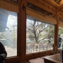 산새소리물소리 | 성남/수정구 카페추천! 도심 속 100년 전통의 쉼터, 인생 한옥카페 '새소리 물소리'