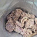 GS25 안6단지점 | 역대급이 나타났다! 꼬북칩 고구마탕후루맛 gs25 편의점 신상 과자 솔직 후기