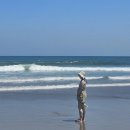 자다 앤 가다 | 6박7일 발리 태교여행#7 | 짐바란 2박3일 | 아야나 리조트, 림바 바이 아야나 예약, 수영장 추천