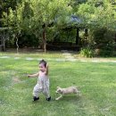 초당산방민박 이미지