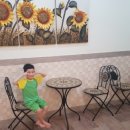 유스포힐링스파 이미지