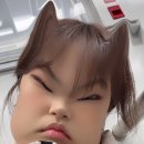 예.지.용 태권스쿨 | 개강하지말자 나 개약하니까..