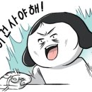 남미구매대행