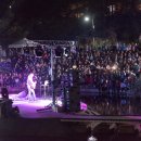 양재천 연인의 거리 이미지