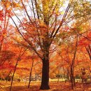 더원치과기공소 이미지