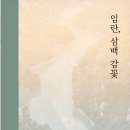 삼백도