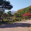 설악밸리 이미지